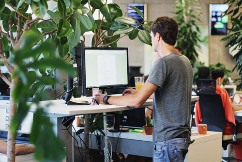 standing desk productivity