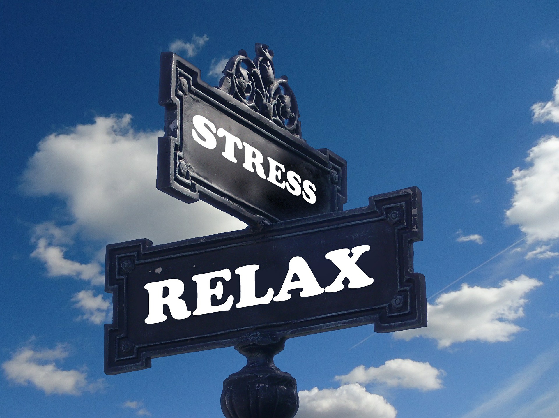 Learn how to manage stress