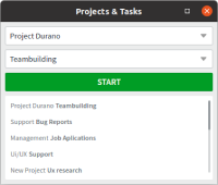 Project Manager