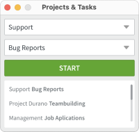 Project Manager